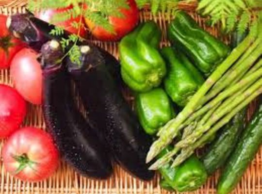 6月の食材