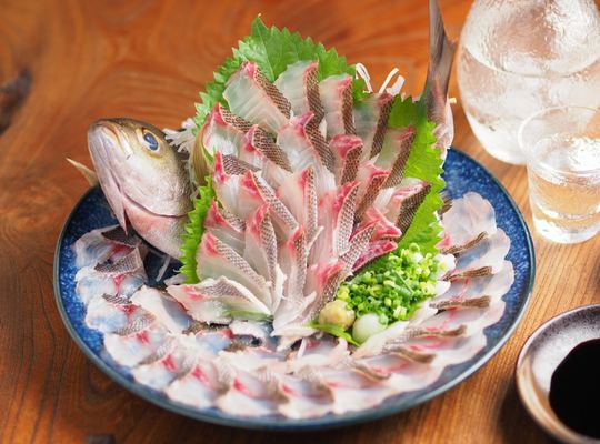 イサキ姿造り