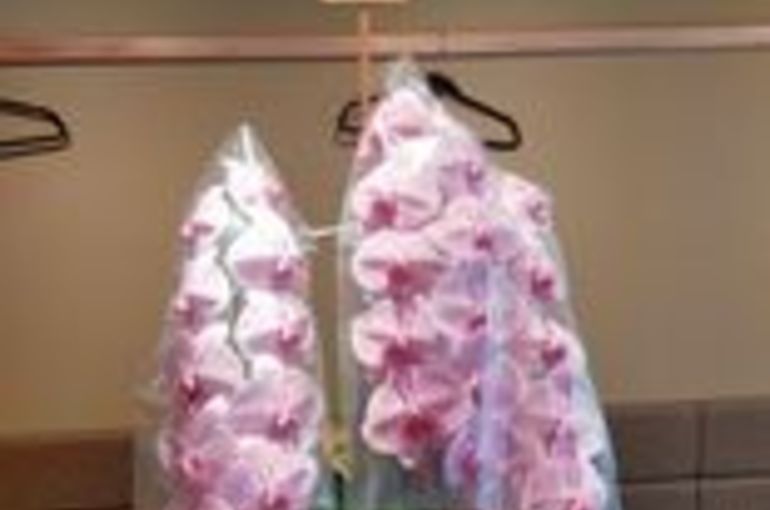 西永福の居酒屋 上々やです すんごい胡蝶蘭届きました