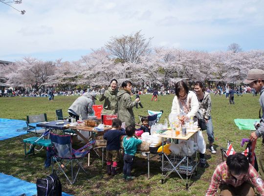 BBQ