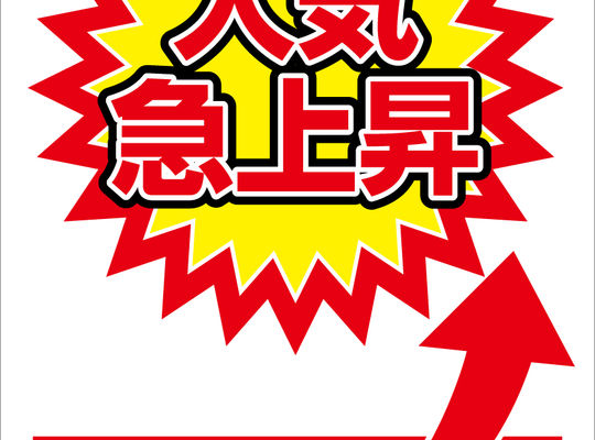 人気急上昇