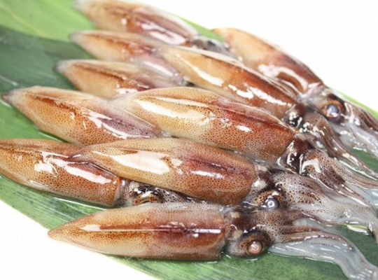 生ホタルイカ
