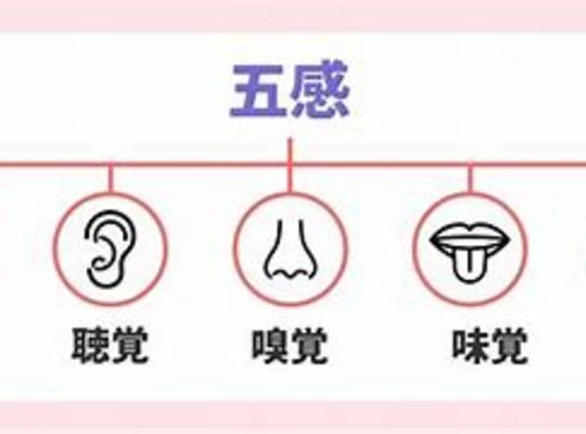 五感