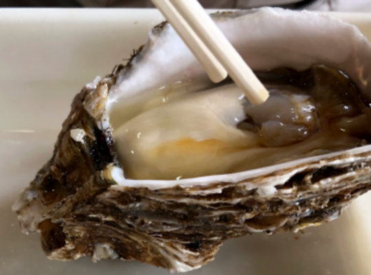 岩牡蠣