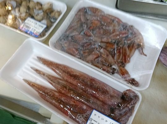 生ホタルイカ