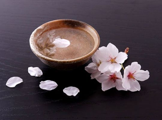 桜酒