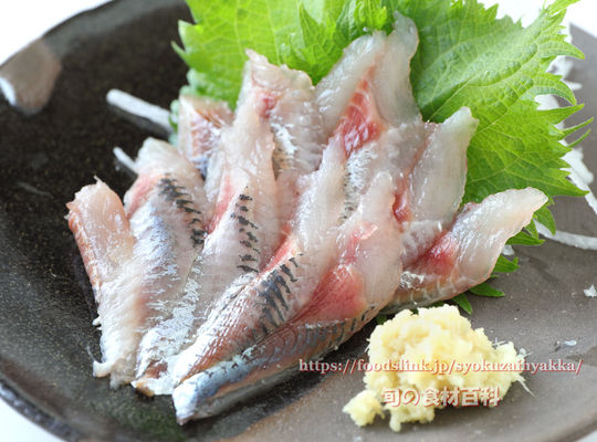 いわし刺身