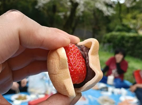 いちご最中
