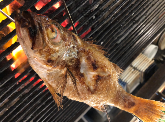 焼き魚