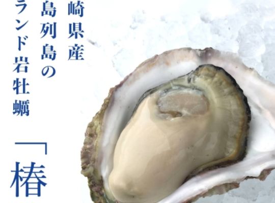 岩ガキ椿